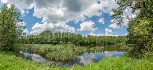 Free An Idyllic Landscape of a River Under White Clouds Stock Photo