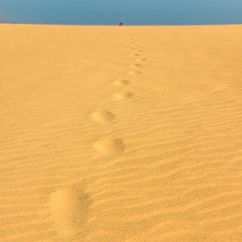 Free Person Walking on Sand Stock Photo