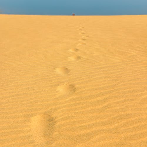 Footprints on the Sand