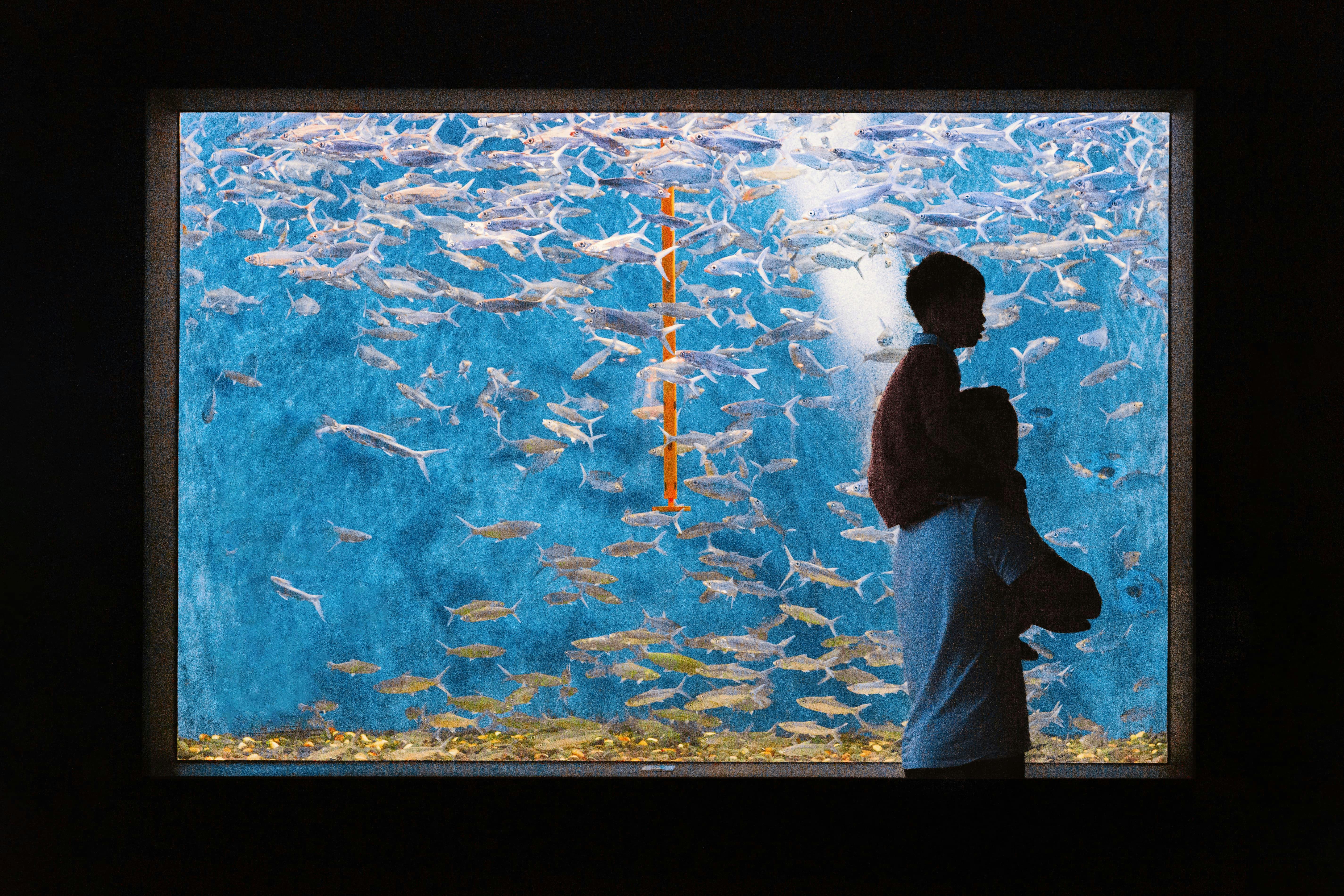 Mauritius Aquarium, Places to visit in Mauritius in August