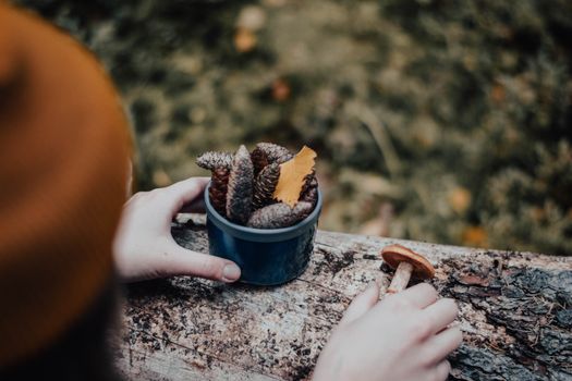 Close-up of hands collecting pine cones and mushroom on a tree trunk in autumn forest.