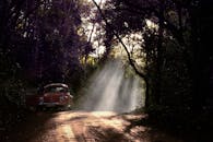 Red Car in the Middle of the Forest