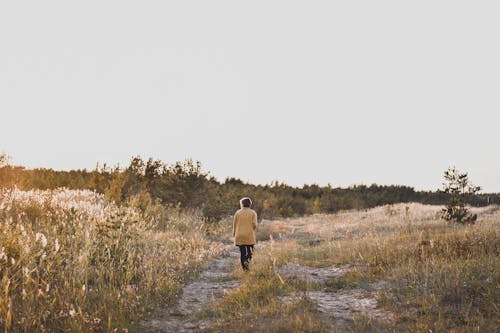 Foto profissional grátis de andando, ao ar livre, área