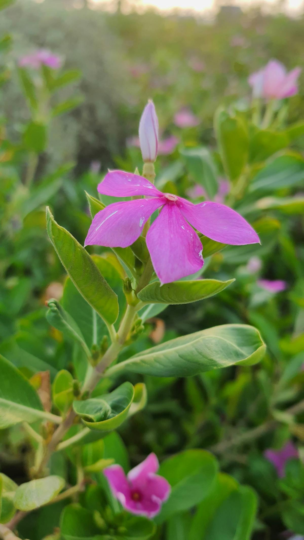 Team of engineers collaborating in front of computer screens showing data dashboards