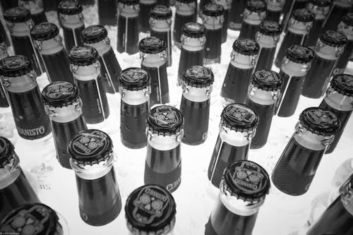 Free stock photo of beer, beer bottle, black and white Stock Photo
