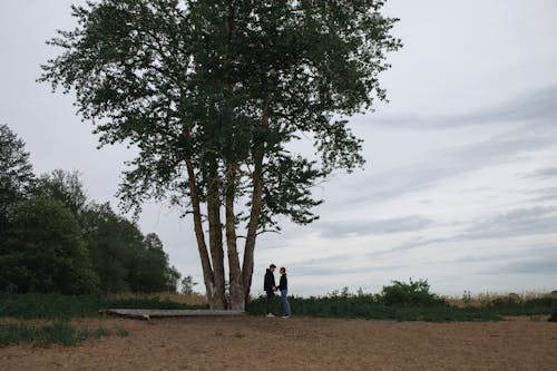 Ücretsiz açık hava, adam, ağaç içeren Ücretsiz stok fotoğraf Stok Fotoğraflar