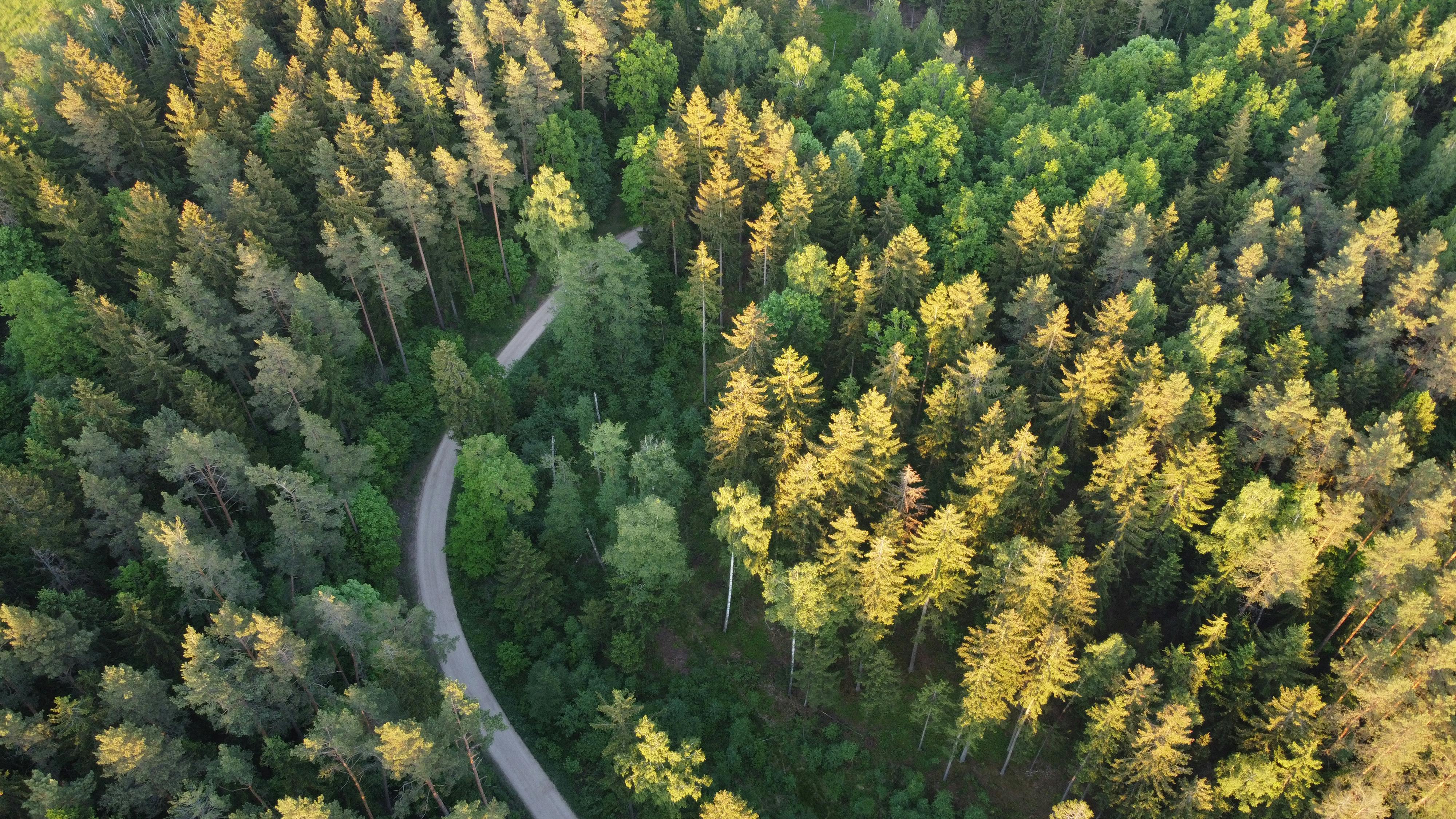 ACRES ESG, Executive Compensation, and Corporate Governance: 2025 SEC Filing Overview — Photo by Marcin on Pexels