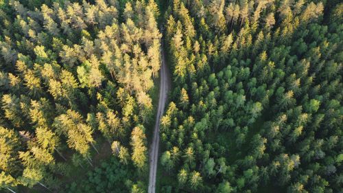 Free Drone shot capturing a scenic forest landscape with a winding road. Stock Photo