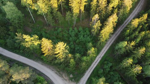 Free Aerial view of lush green forest with winding dirt road, highlighting summer's natural beauty. Stock Photo