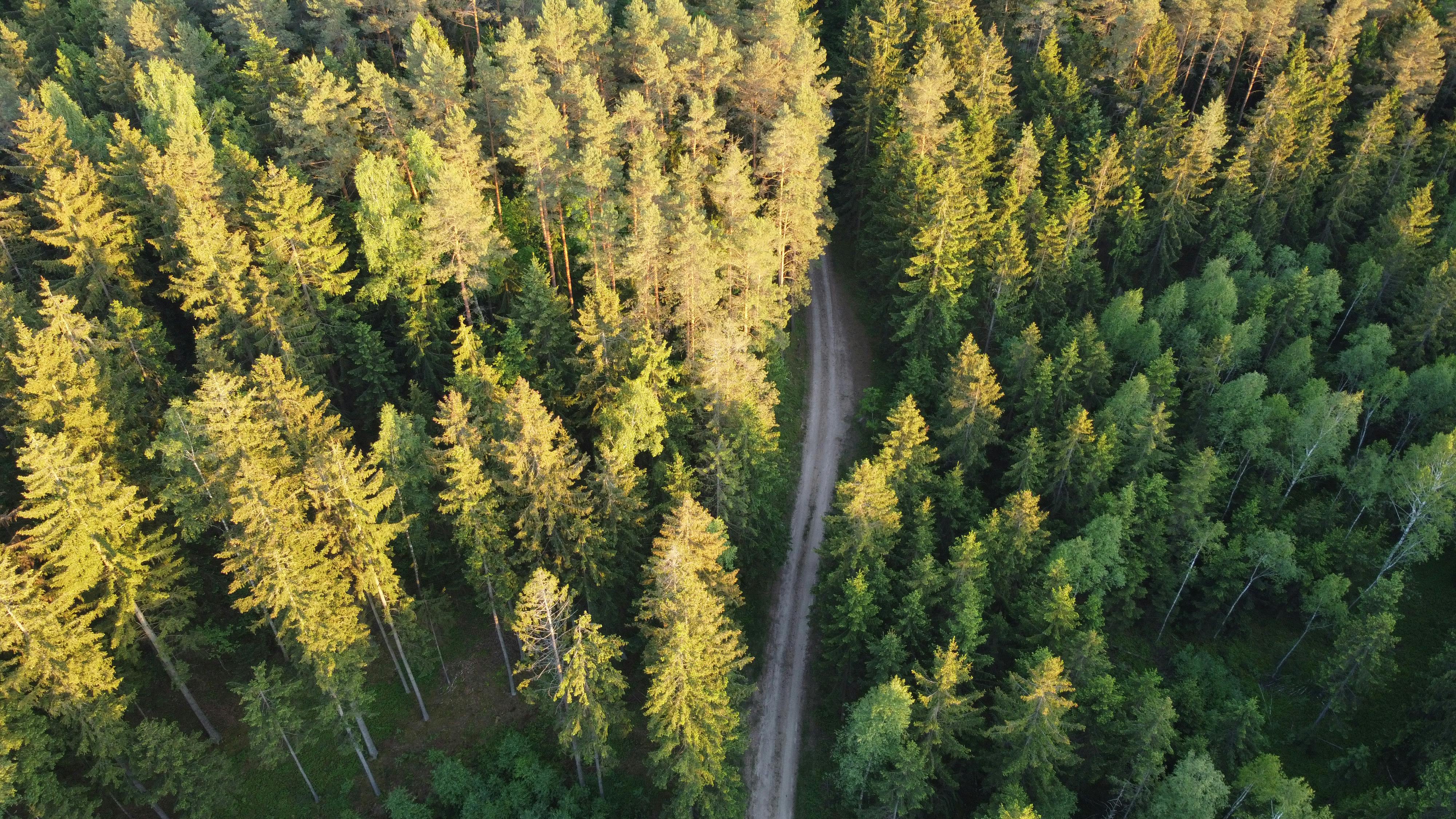 corporate governance esg good governance esg — Photo by Marcin on Pexels