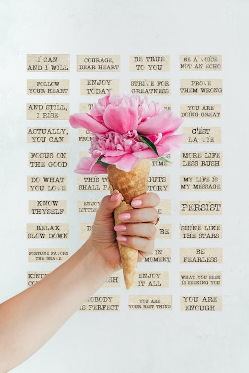 Close-Up Shot of a Person Holding Pink Flowers on a Cone