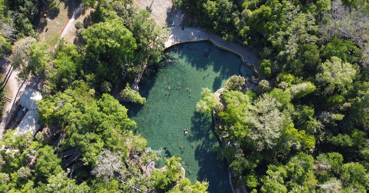 Aerial shot of Spring Lake's natural pool amidst lush greenery, showcasing a serene environment.