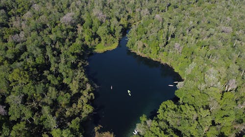 Fotobanka s bezplatnými fotkami na tému fotografia z dronu, jazero, les
