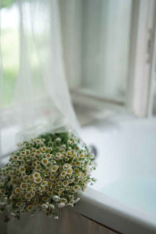 White Oxeye Daisies Flowers on a White Counter Top
