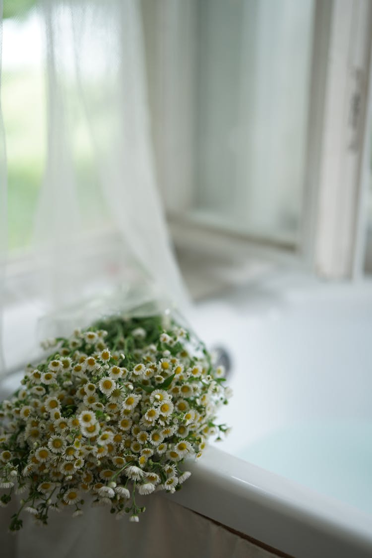 White Oxeye Daisies Flowers On A White Counter Top