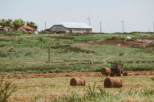 Gratis stockfoto met akkerland, balen hooi, boerderij Stockfoto