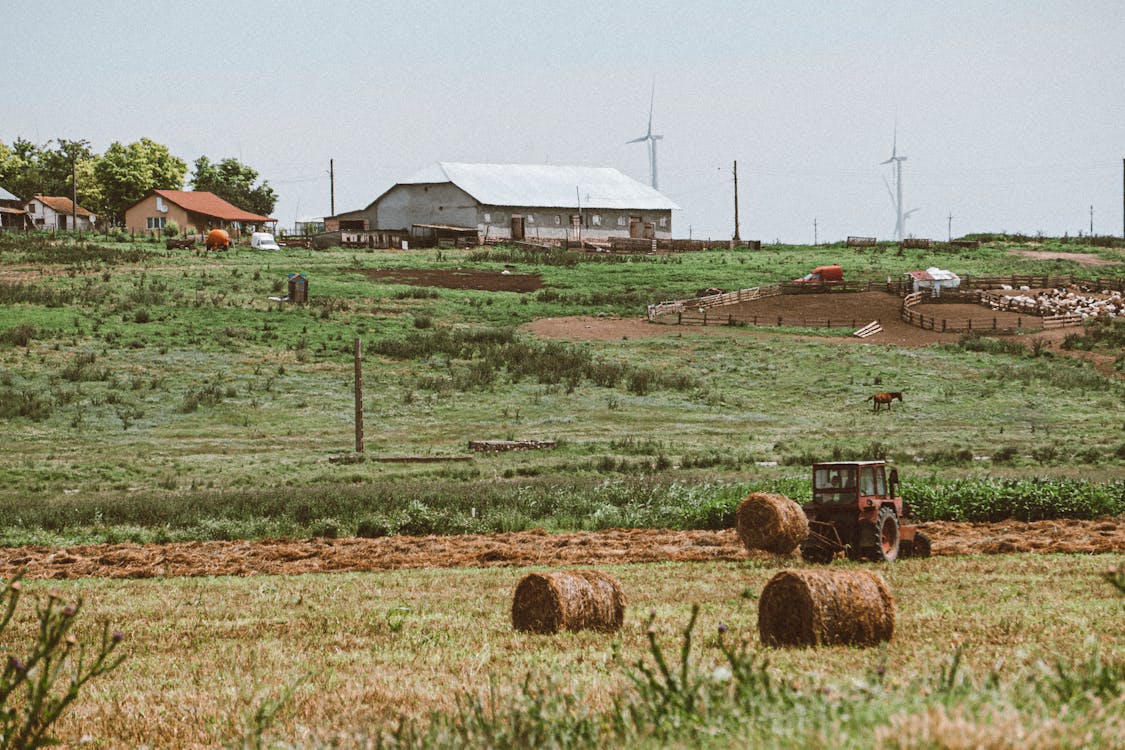 Foto profissional grátis de agricultura, área, chácara