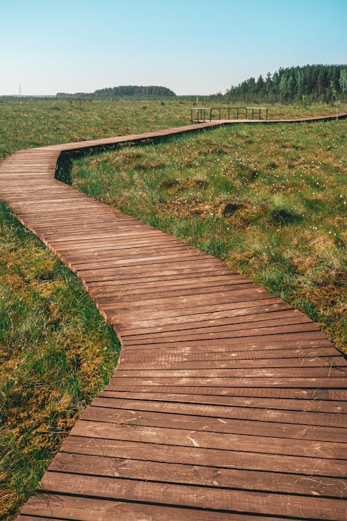 Brown Wooden Pathway Between Green Grass Field