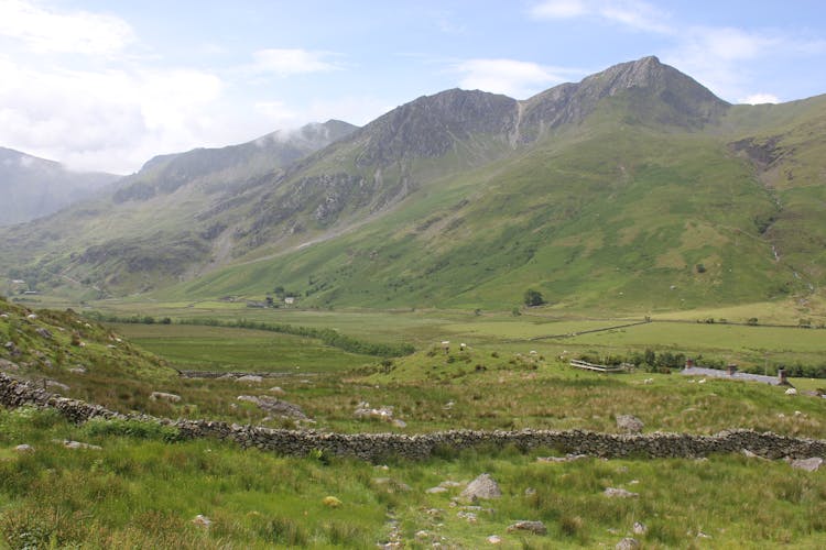 Green Grass Field And Mountains