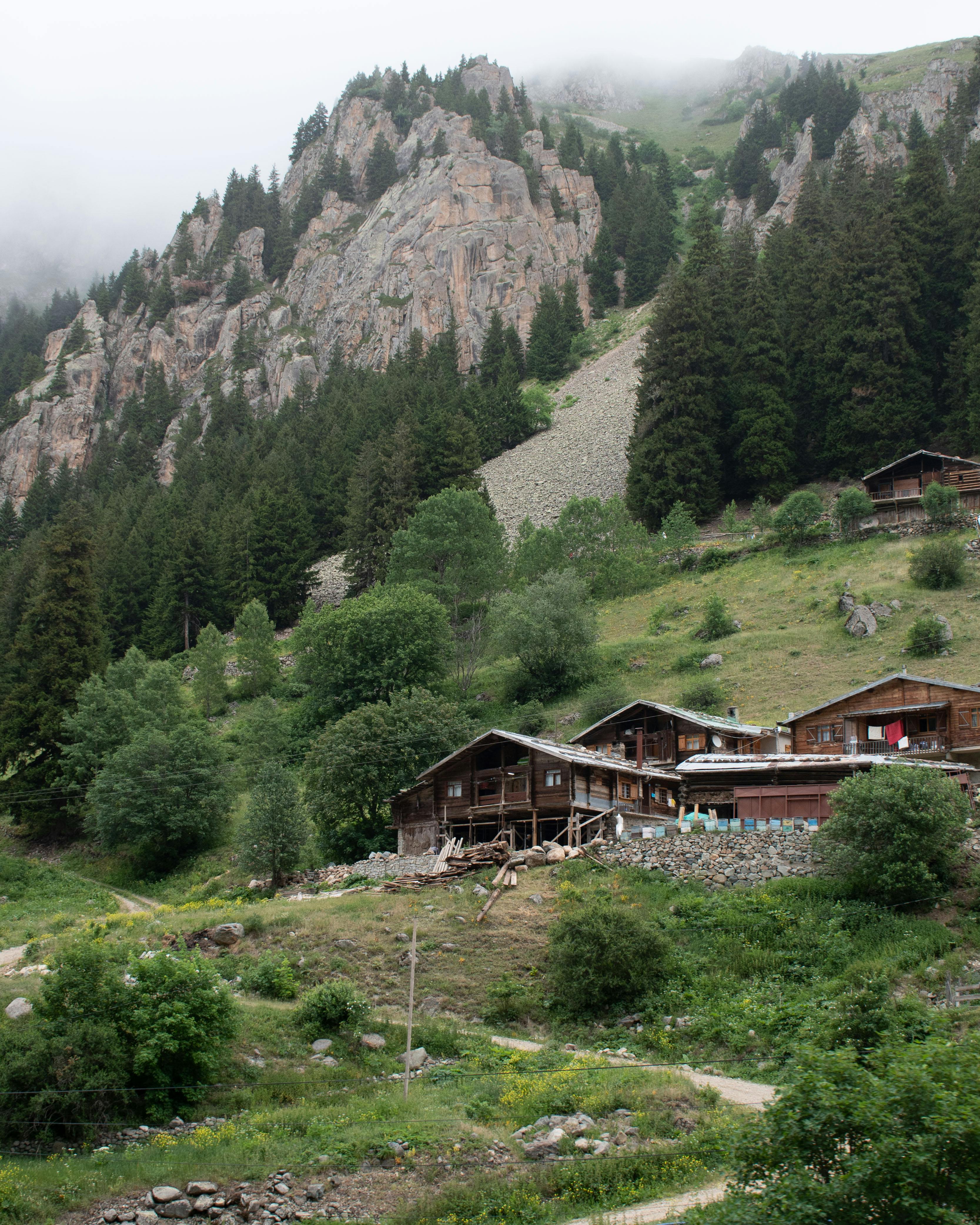 Rustic wooden houses nestled in Trabzon's lush green hills beneath misty mountains.