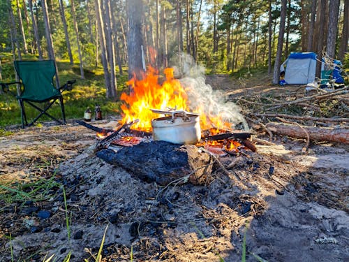 Burning Woods in Forest