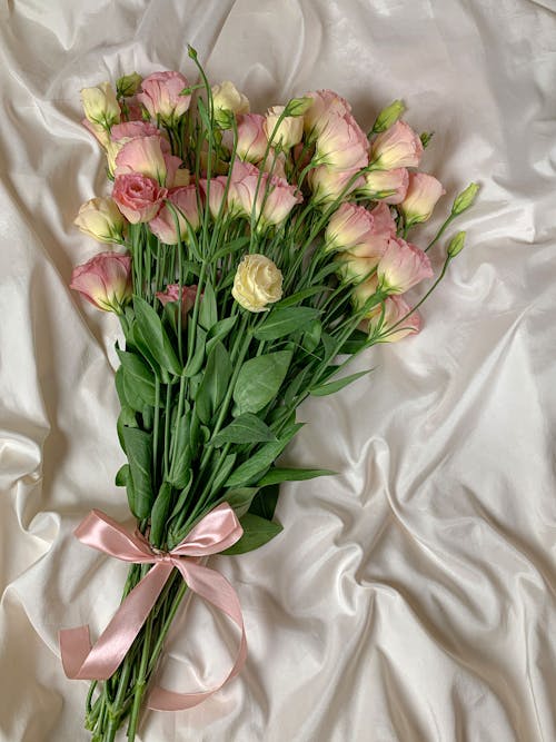 トルコギキョウ, ピンクの花, ピンクリボンの無料の写真素材
