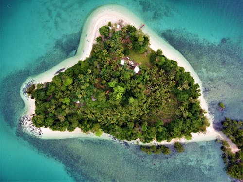 Aerial View of Green Trees on an Island