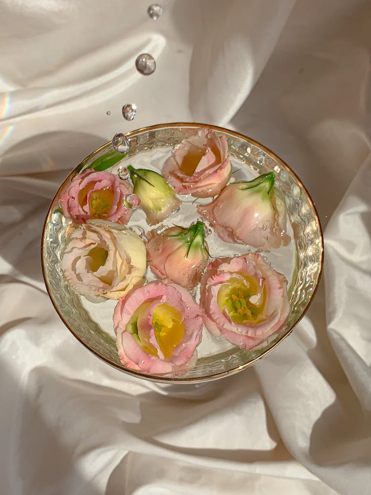 Pink Roses Sink In Water On A Bowl 