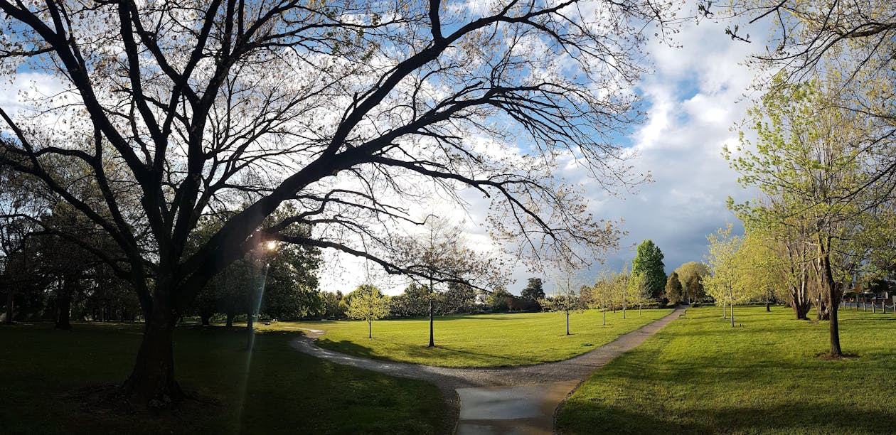 bahar, şehir Parkı içeren Ücretsiz stok fotoğraf