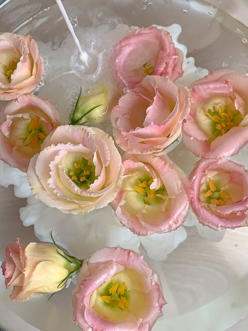 Pink Flowers on a Clear Container