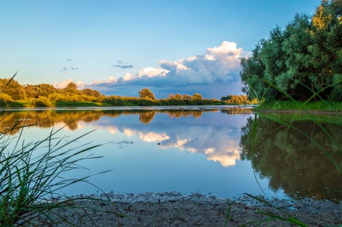 Foto d'estoc gratuïta de arbres, calma, llac