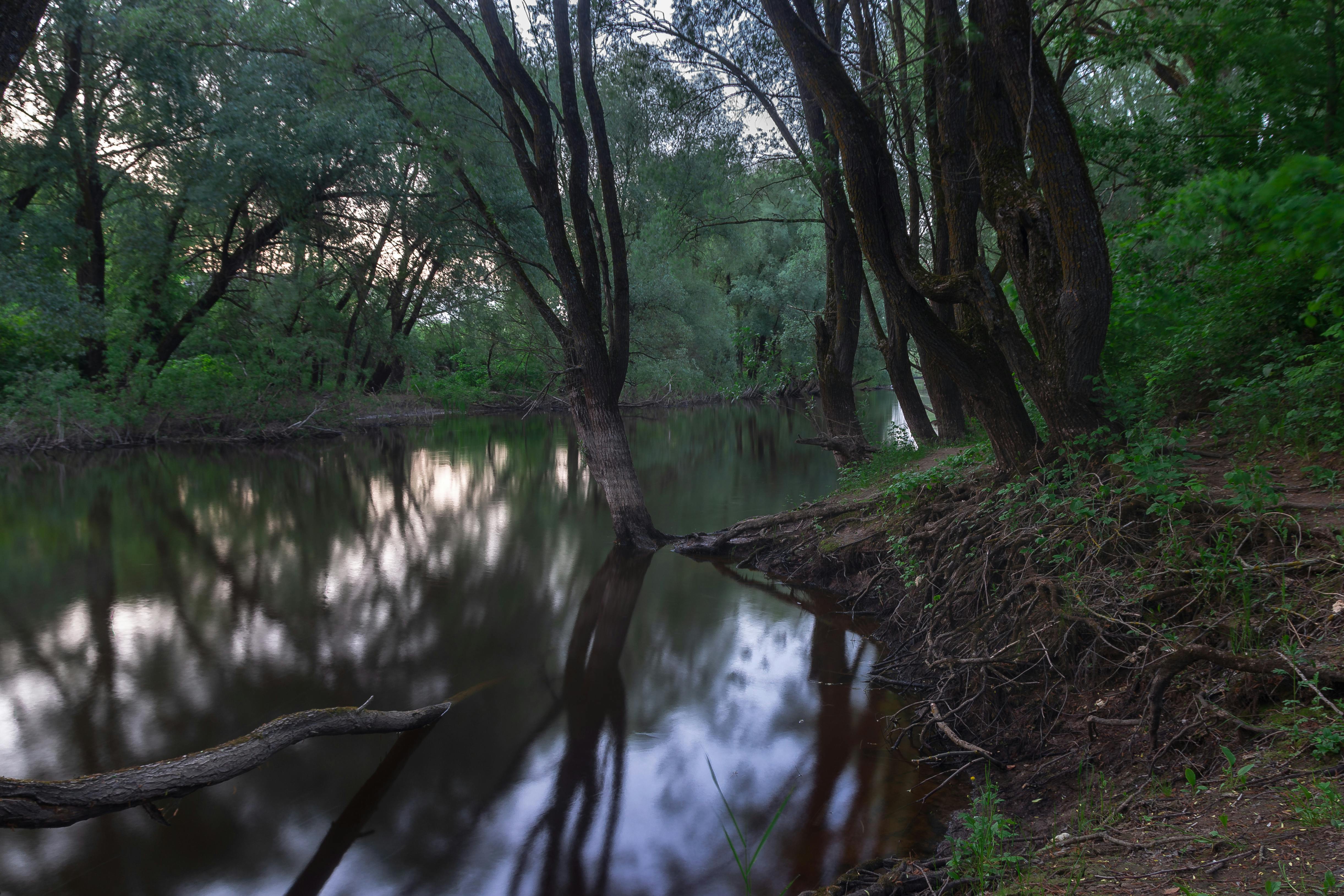 A bowl of Mediterranean bean and vegetable stew topped with herbs and olive oil