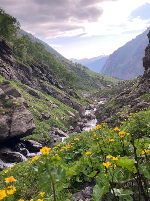 Základová fotografie zdarma na téma hory, jezero, kameny