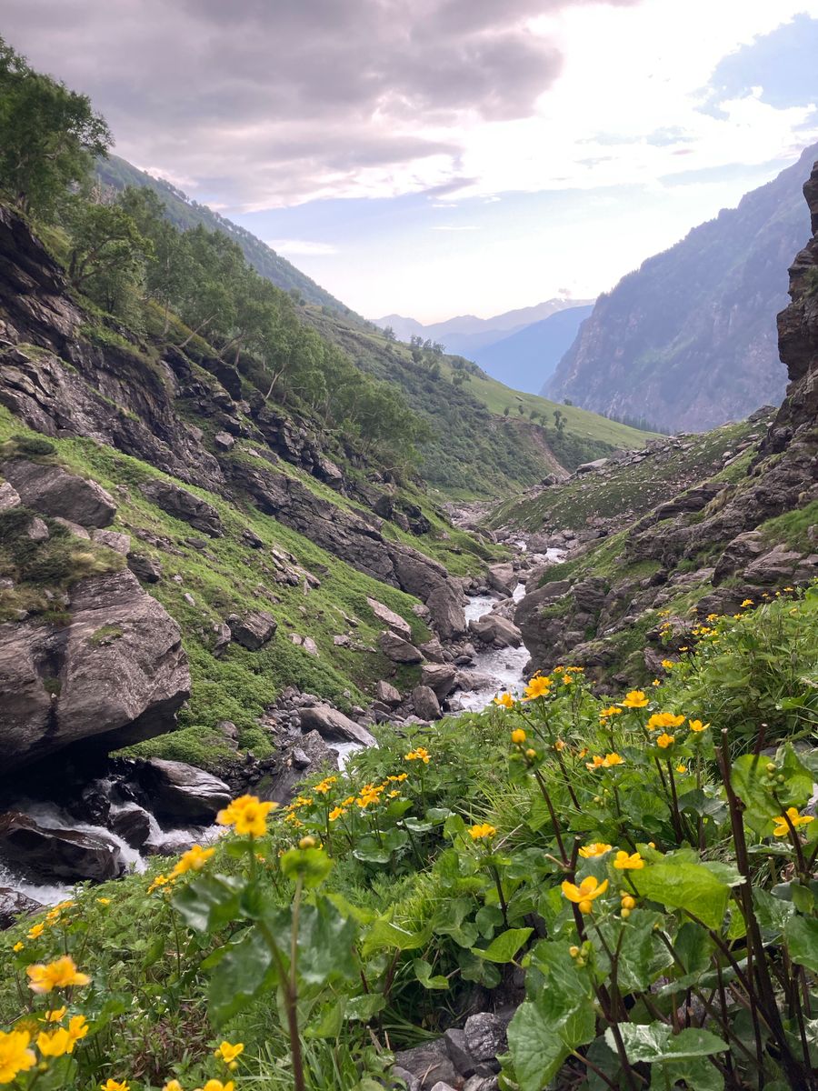 Valley of Flowers photo 3
