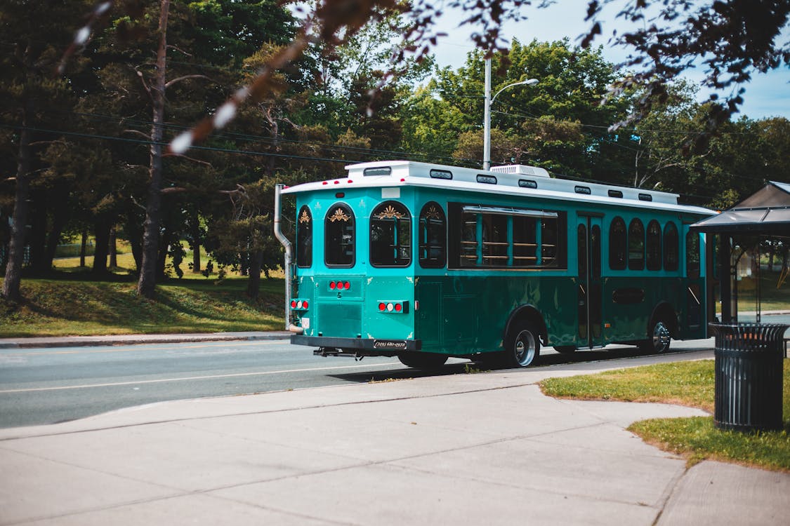 Green and White Bus on Road