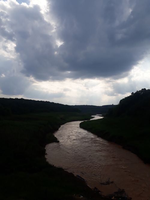Free stock photo of nature Stock Photo