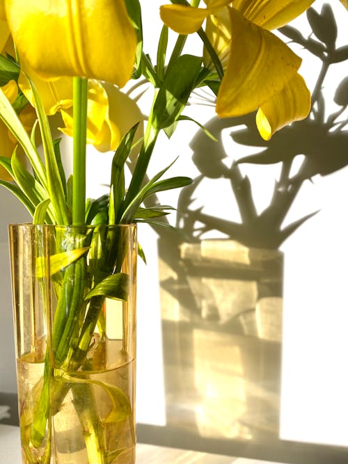 Yellow Flowers in Clear Glass Vase