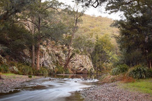 Fotos de stock gratuitas de aguas tranquilas, al aire libre, arboles