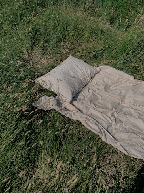 A Pillow and Blanket on a Grassy Field