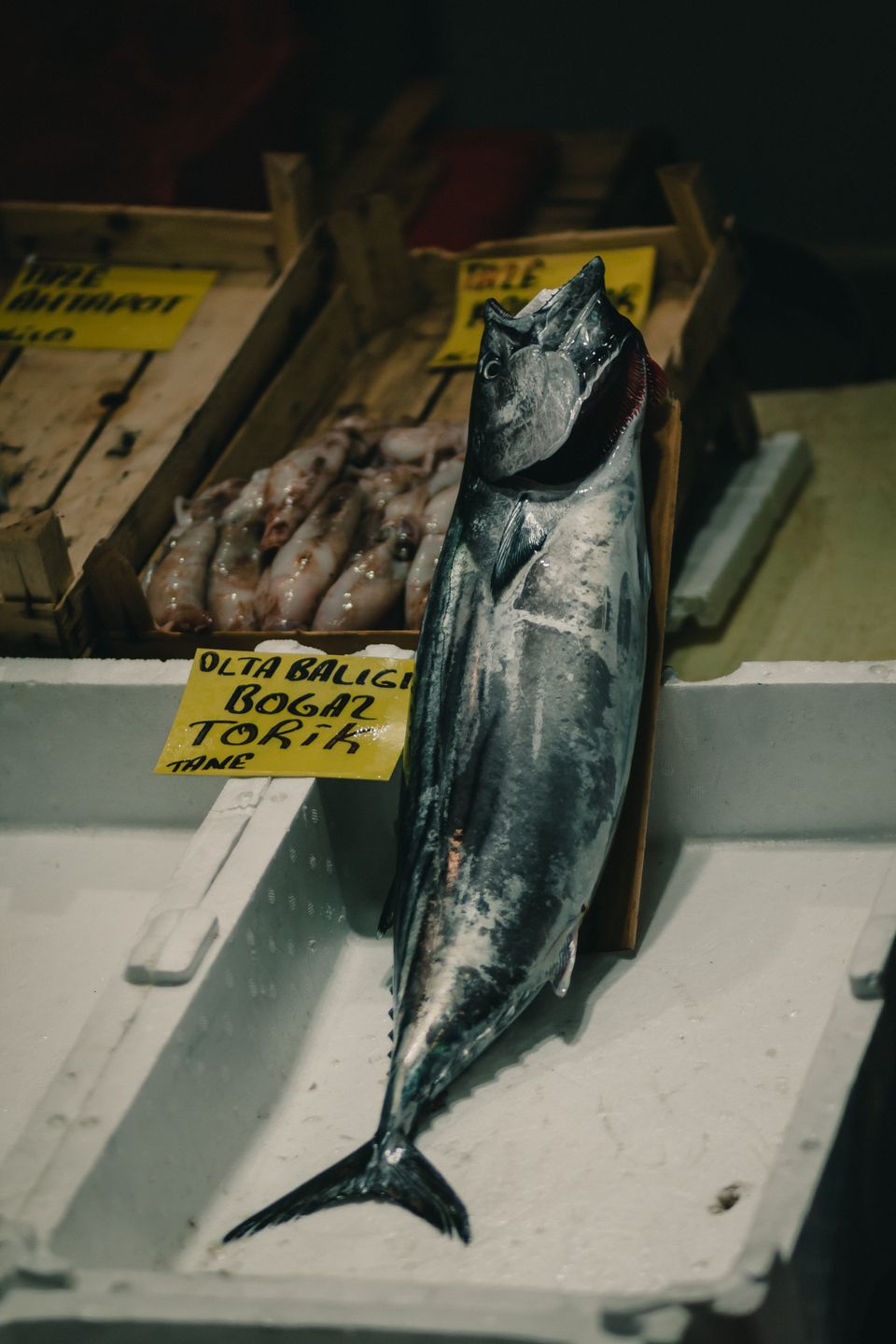 Ingrediënten die recht uit Portugal komen