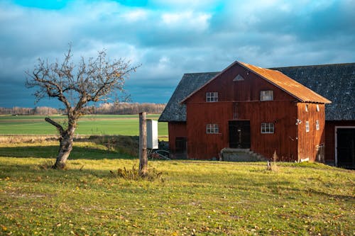 Brown Wooden House on Green Grass Field