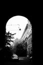 Grayscale Photo of Street Light