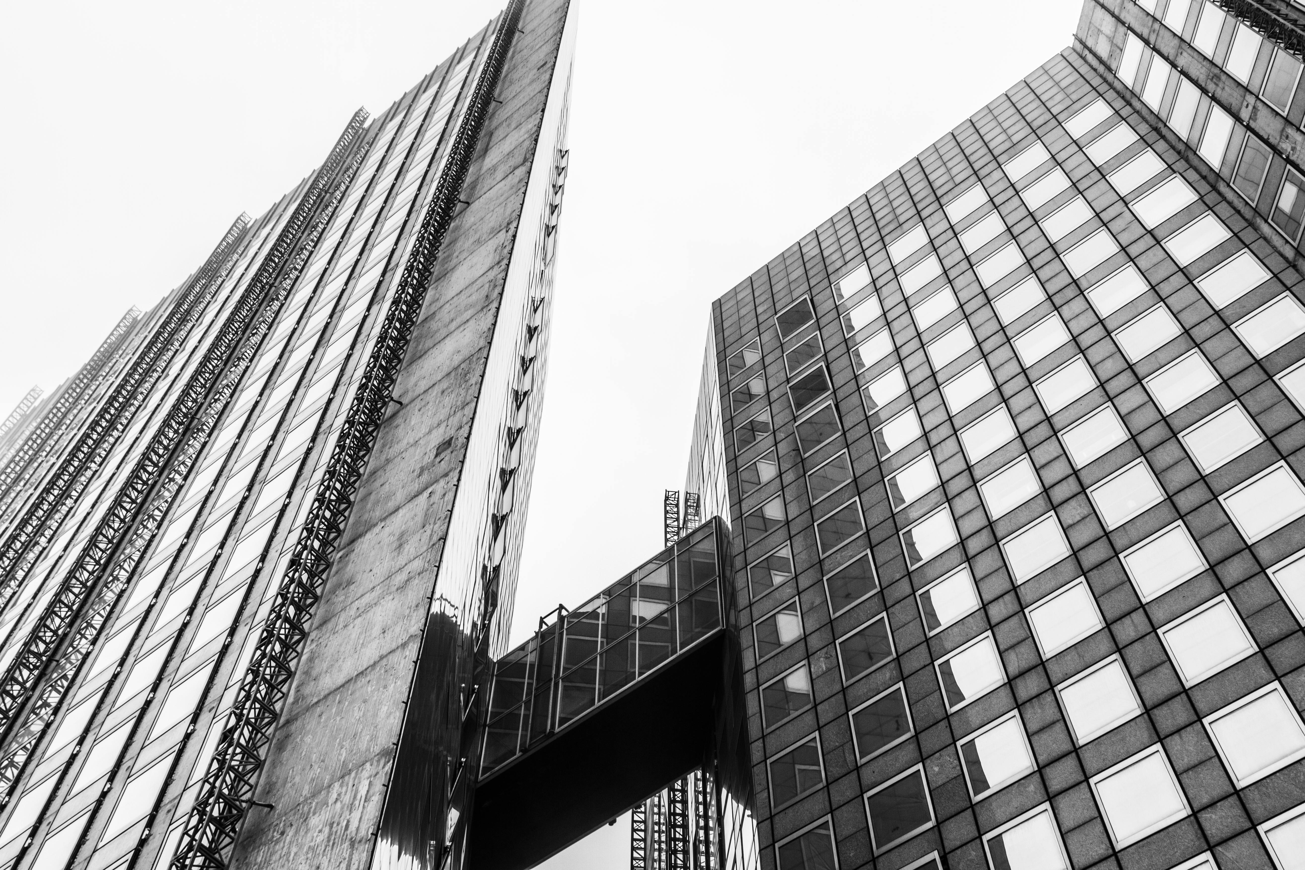 Free stock photo of paris