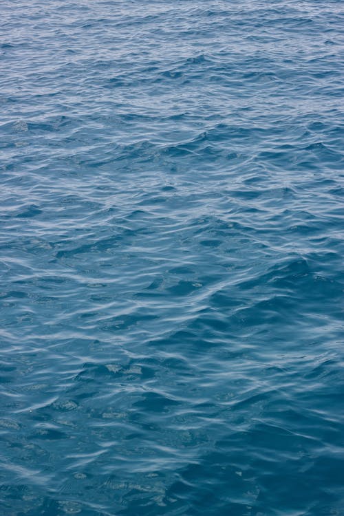 Foto stok gratis air, biru, laut