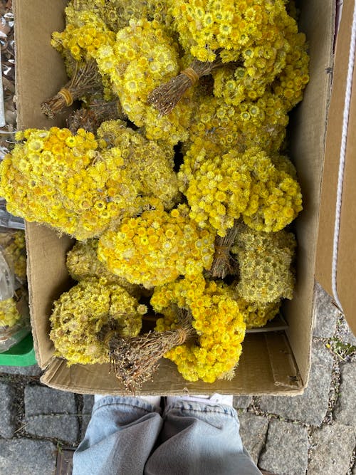 A Bunch of Bundled Yellow Flowers in Carton Box