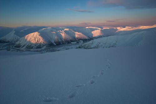 Бесплатное стоковое фото с горы, зима, ледник