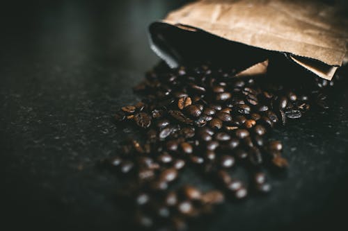 Ingyenes stockfotó kávé, kávébab, koffein témában