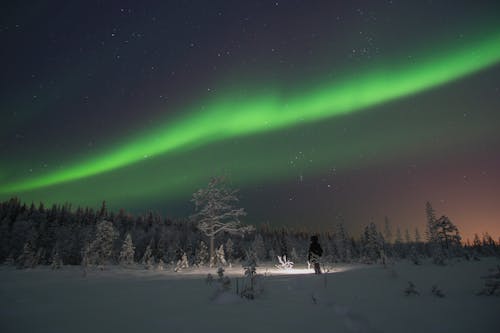 Green Polar Lights in Night Sky in Wild Nature
