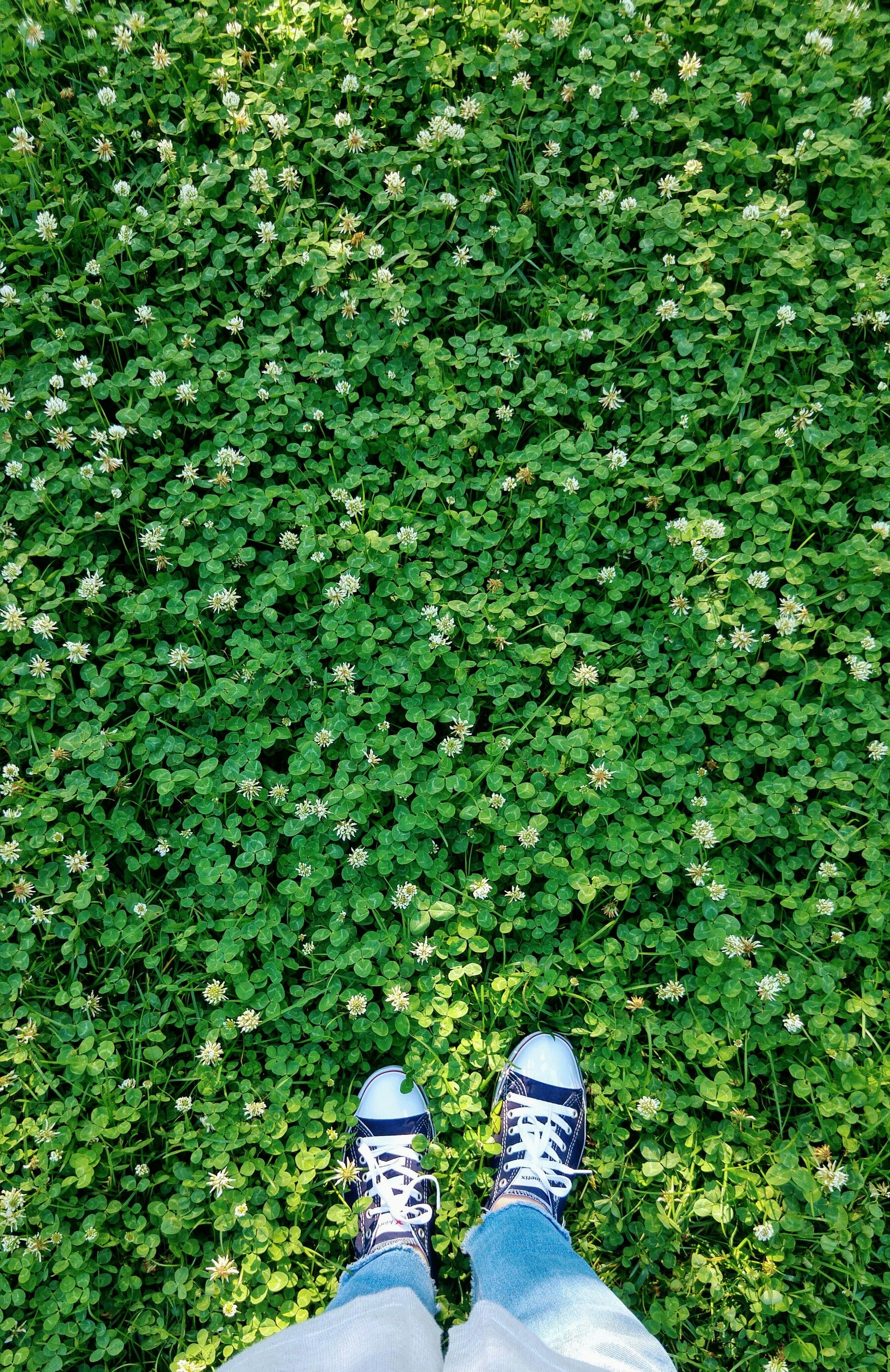 Person in White and Black Sneakers Standing on Green Grass Field · Free ...