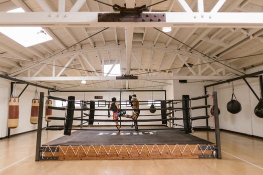 Two athletes engage in an intense sparring session in a well-lit boxing gym.